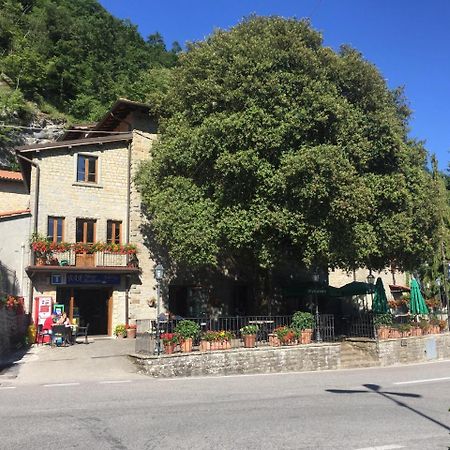 Albergo Bellavista Chiusi della Verna Exterior foto