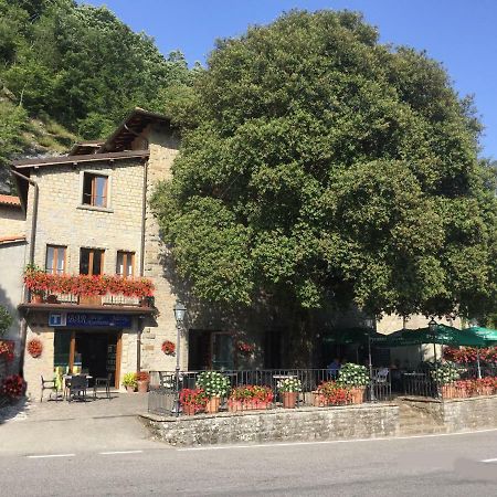 Albergo Bellavista Chiusi della Verna Exterior foto